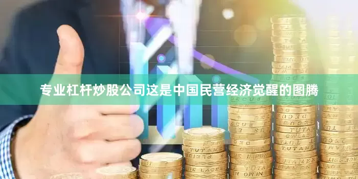 专业杠杆炒股公司这是中国民营经济觉醒的图腾