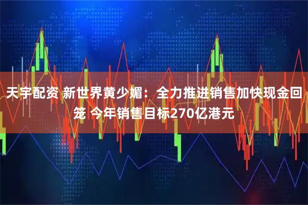 天宇配资 新世界黄少媚：全力推进销售加快现金回笼 今年销售目标270亿港元