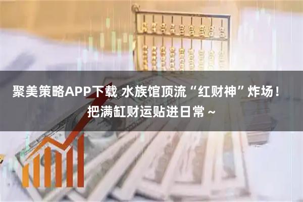 聚美策略APP下载 水族馆顶流“红财神”炸场！ 把满缸财运贴进日常～