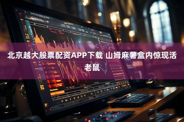 北京越大股票配资APP下载 山姆麻薯盒内惊现活老鼠