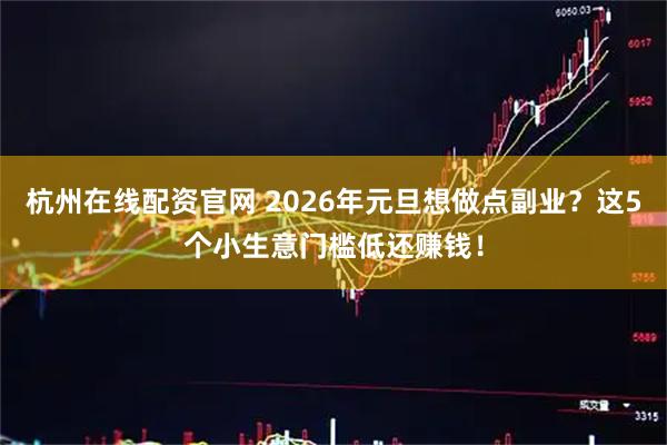 杭州在线配资官网 2026年元旦想做点副业?这5个小生意门槛低还赚钱!