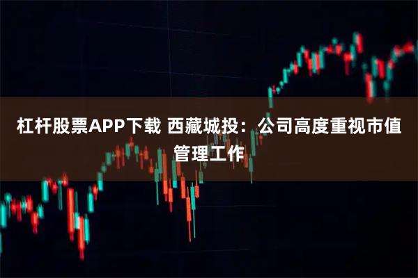 杠杆股票APP下载 西藏城投：公司高度重视市值管理工作